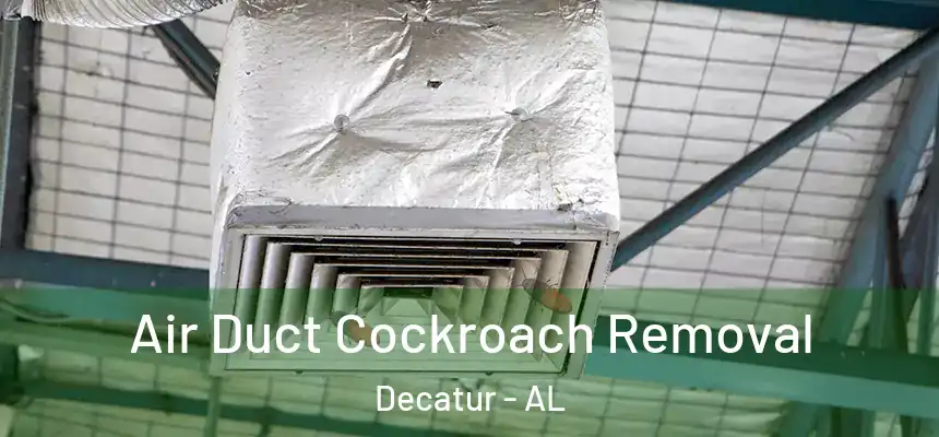  Air Duct Cockroach Removal Decatur - AL