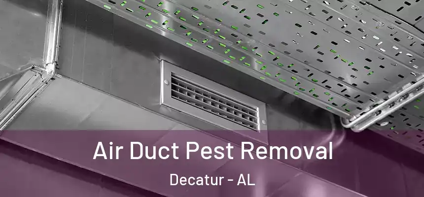  Air Duct Pest Removal Decatur - AL