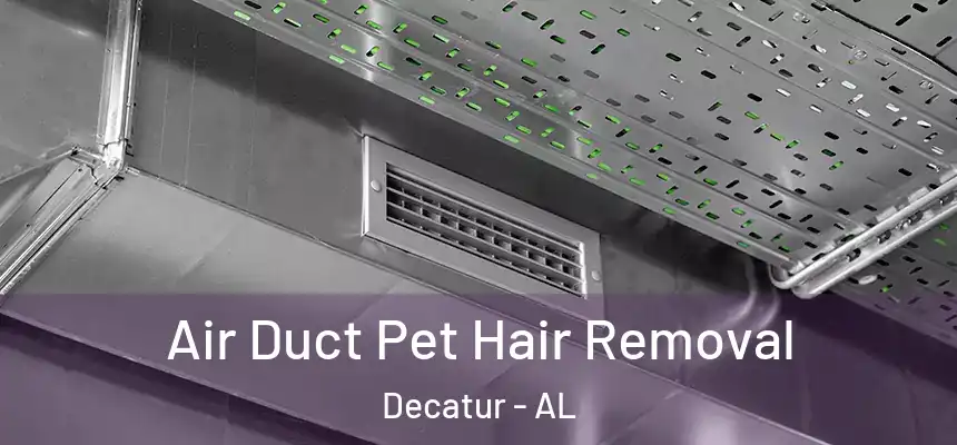  Air Duct Pet Hair Removal Decatur - AL