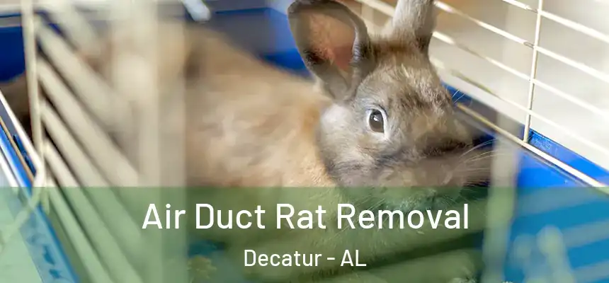  Air Duct Rat Removal Decatur - AL