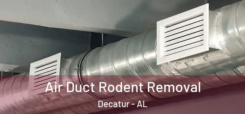  Air Duct Rodent Removal Decatur - AL
