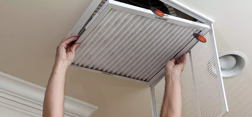 Our Insect Removal from Air Ducts Services in Decatur, AL