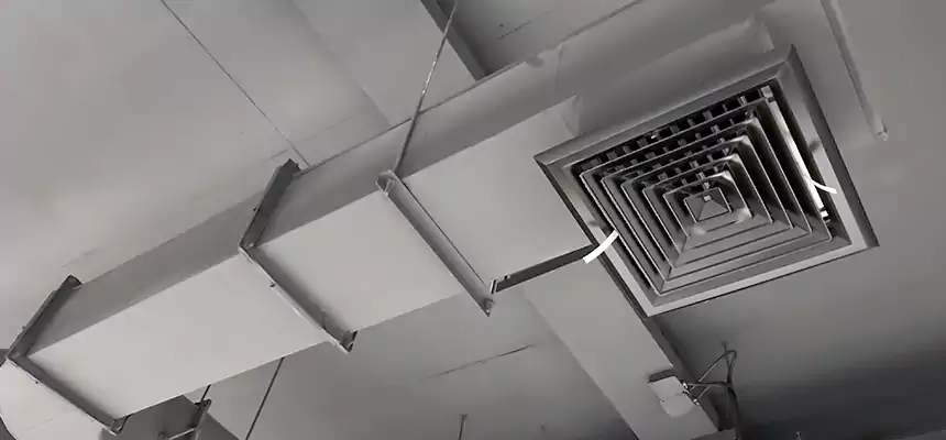 Our Pest Removal From Ducts Services in Decatur, AL