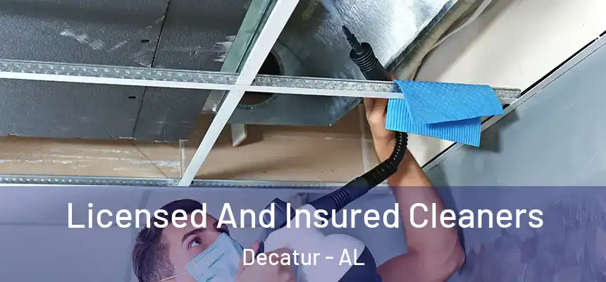 Licensed And Insured Cleaners Decatur - AL