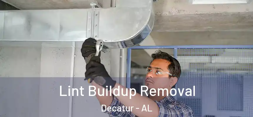  Lint Buildup Removal Decatur - AL