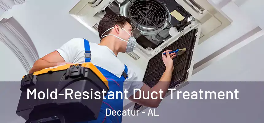 Mold-Resistant Duct Treatment Decatur - AL