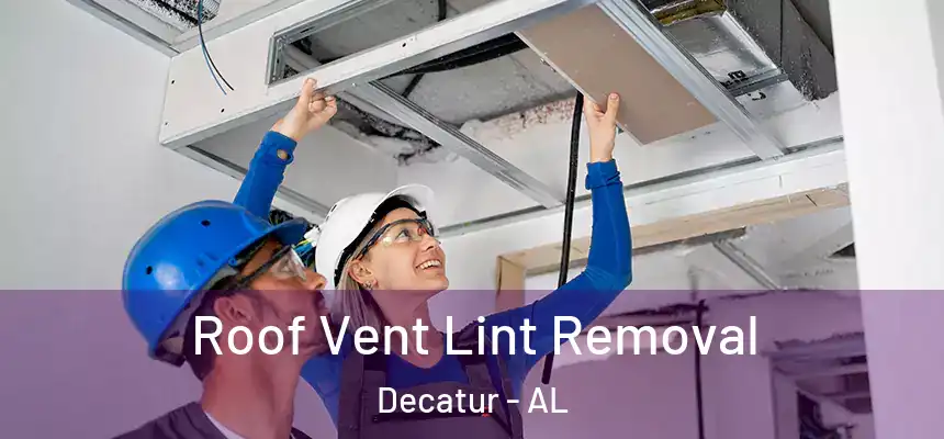  Roof Vent Lint Removal Decatur - AL