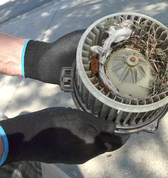 About Air Duct Mice Removal in Decatur, AL