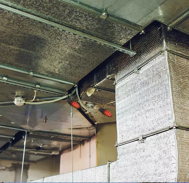 Why Homeowners & Businesses Trust Us Decatur, AL?