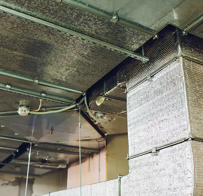 Why Homeowners & Businesses Trust Us in Decatur, AL?